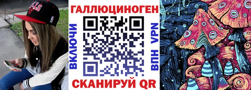 Псилоцибиновые грибы MAGIC MUSHROOMS  Купить закладки  Кингисепп 
